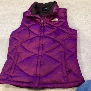 EUC Satin Fabric Grape 550 Down Vest